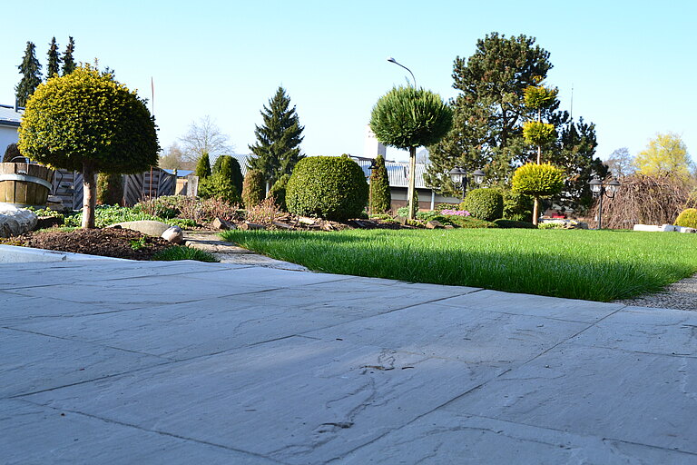 20120401_113635.JPG  